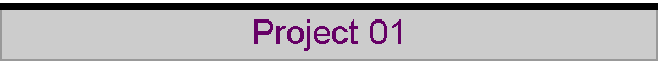 Project 01