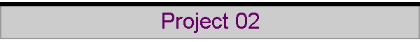 Project 02