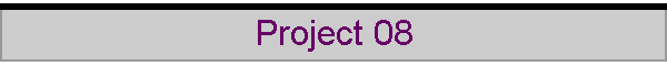 Project 08