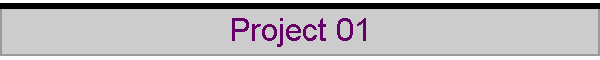 Project 08